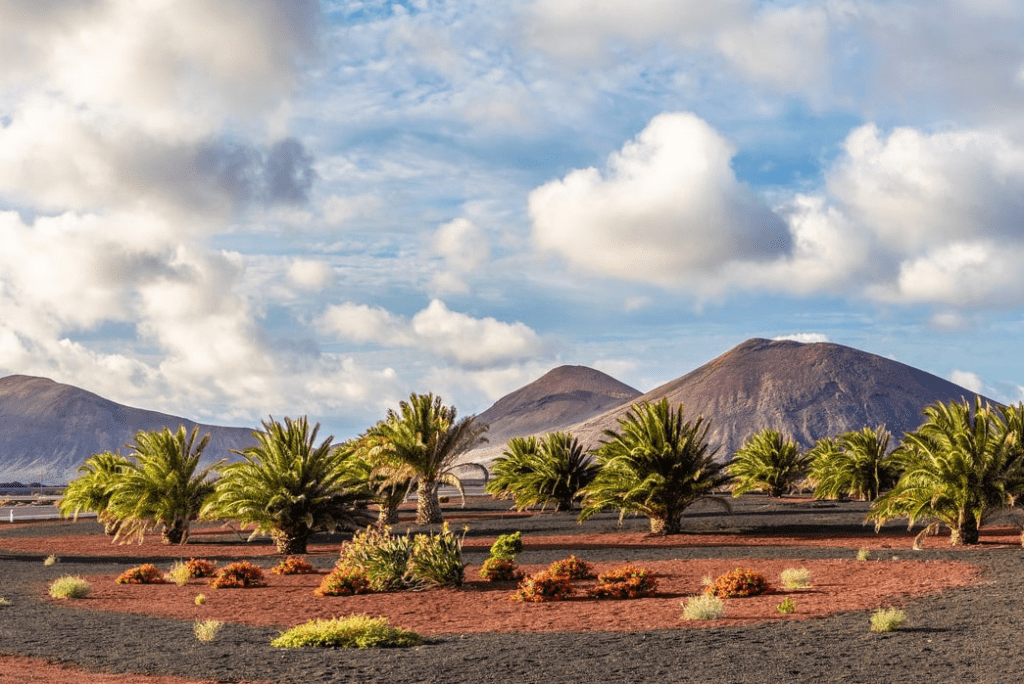 Lanzarote – 1 Woche Arrecife zu viert – ab 262€ pro&nbsp;Person
